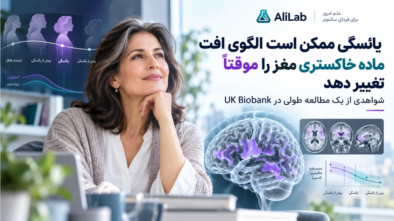 کاور AliLab درباره گذار یائسگی و تغییرات طولی ماده خاکستری مغز