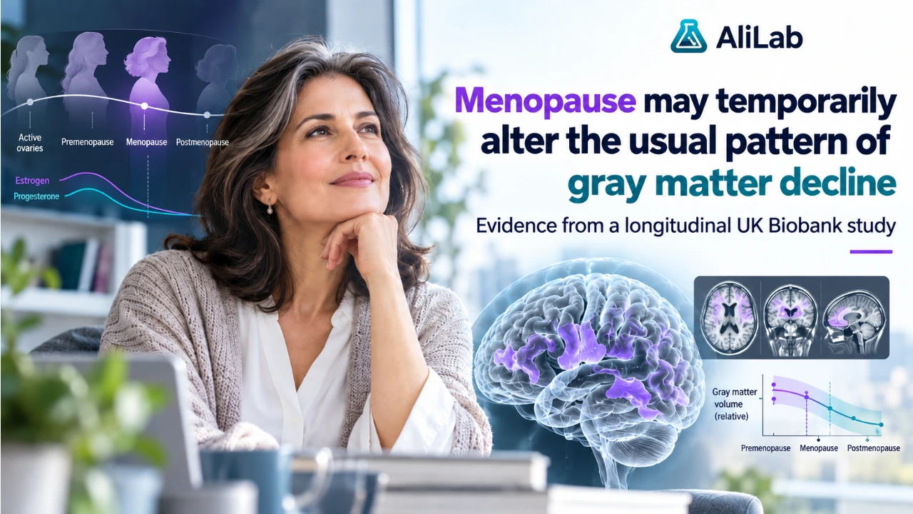 AliLab cover about the menopause transition and longitudinal gray-matter changes